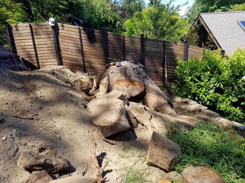 Tree & Stump Removal Work