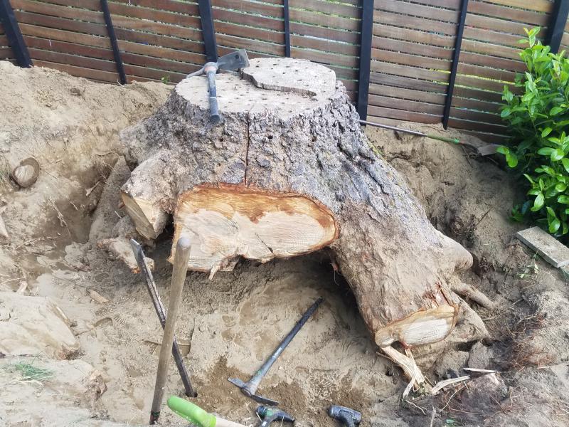 Tree & Stump Removal Work