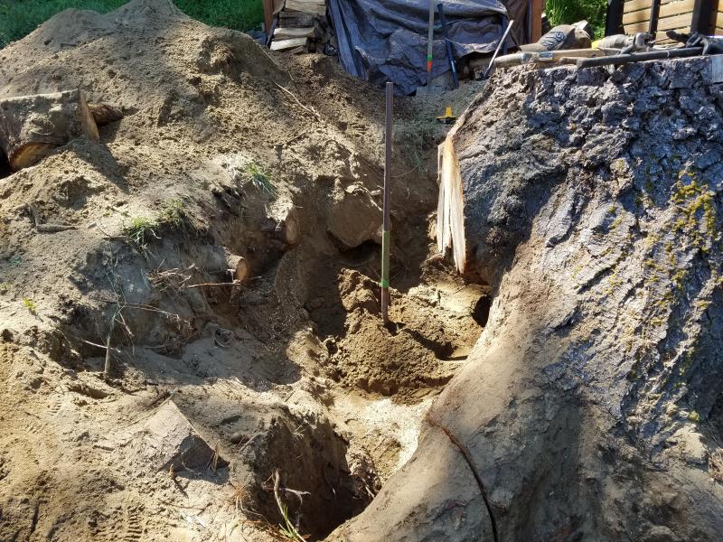 Tree & Stump Removal Work