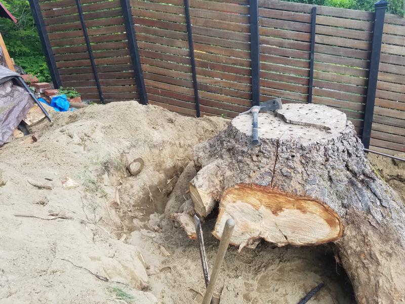 Tree & Stump Removal Work