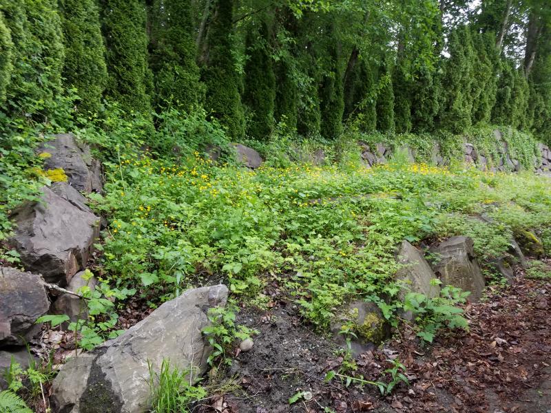 Hardscaping, Rockery, Terracing, Land Clearing, Parking Pad