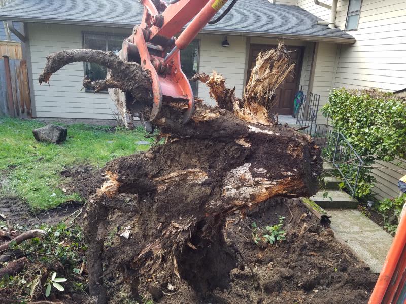 Hardscaping, Retaining Walls, Sod