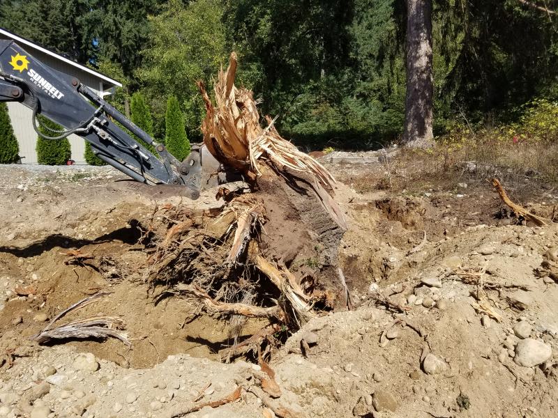 Land Clearing, Road Building