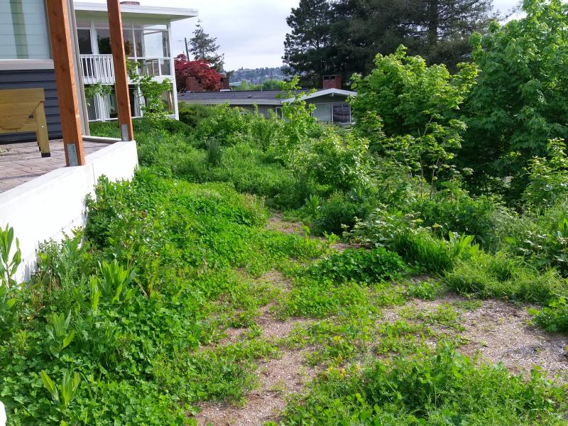  Retaining Walls, Regrading, Sod & Fence Installation.